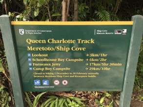 Queen Charlotte Track (5 Day Hike)